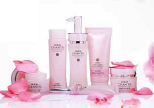 高效家居日用品批發(fā)的策略與市場機(jī)遇